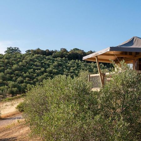 Glamping Podere San Jacopo Massa Marittima Exteriör bild