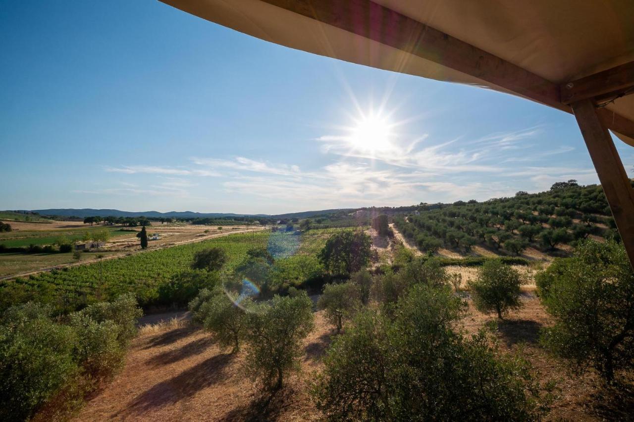 Glamping Podere San Jacopo Massa Marittima Exteriör bild