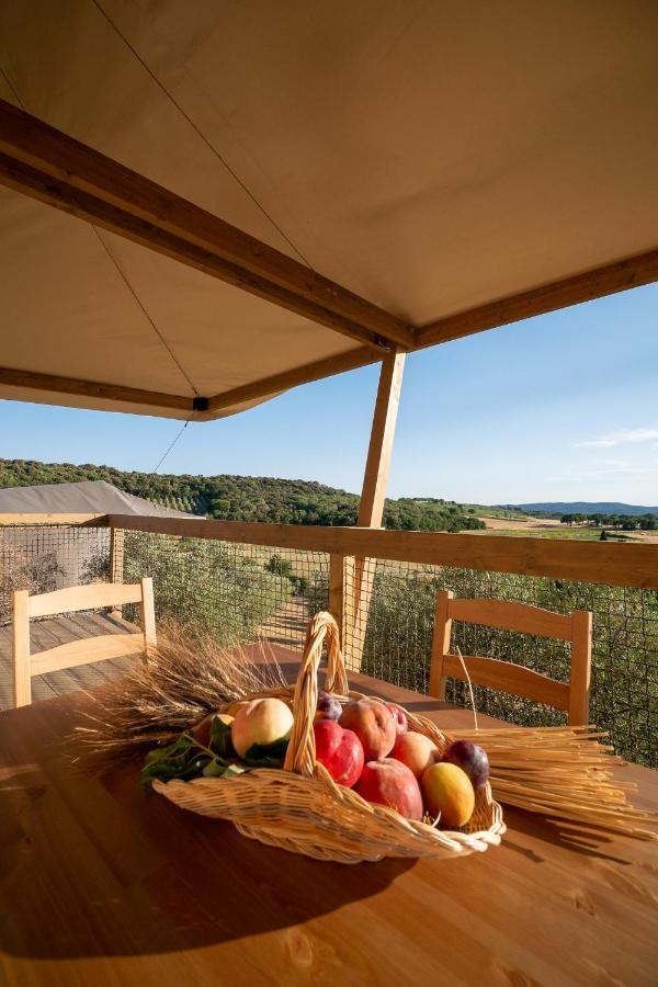Glamping Podere San Jacopo Massa Marittima Exteriör bild