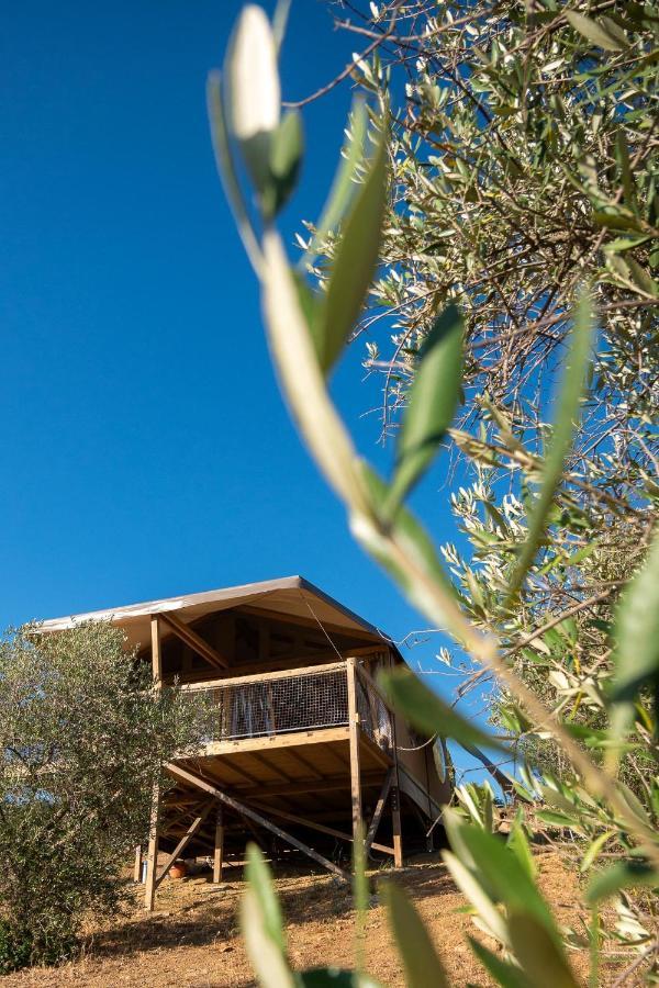 Glamping Podere San Jacopo Massa Marittima Exteriör bild